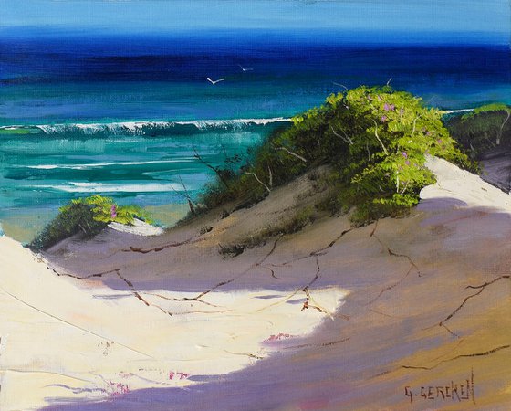 Australian Sandy Beach