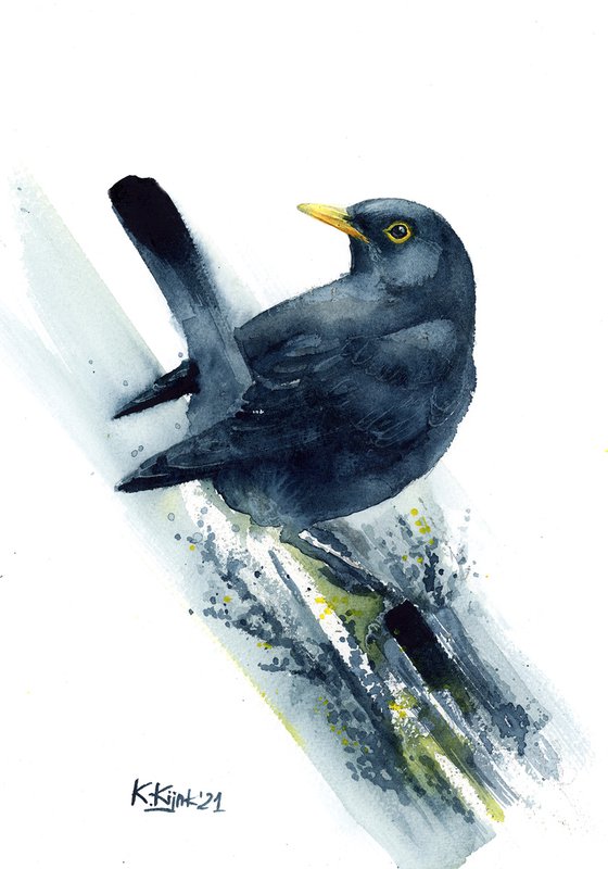 Common blackbird, watercolor of birds and wildlife