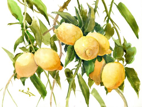 Lemons on the Tree by Suren Nersisyan