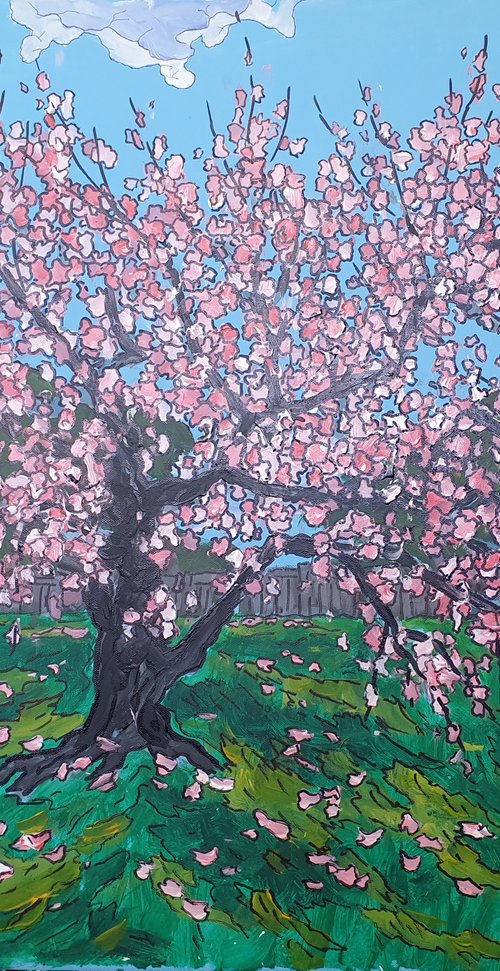 Blossom  #29 by Colin Ross Jack