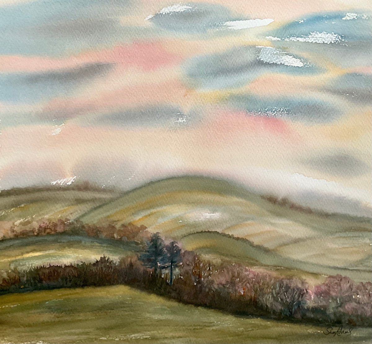 The rolling North Dorset chalk hills by Samantha Adams