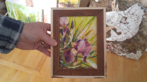 Irises (5x7x0.1'') (framed 8.7x7x0.5")
