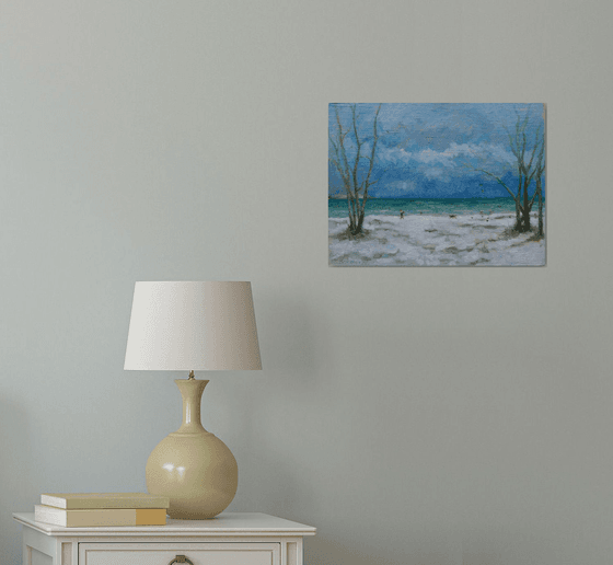 Winter Walk With A Dog