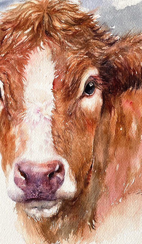 Brown Cow_ Midsummer Gaze by Arti Chauhan