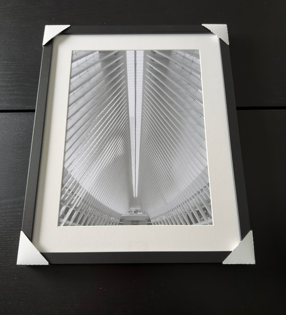 THE WHITE GEOMETRIES