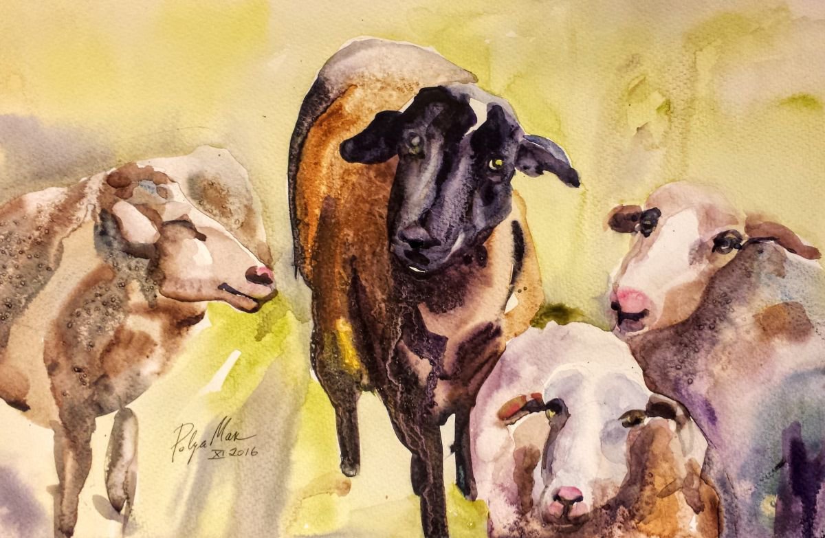 Sheep 4 by Polina Morgan