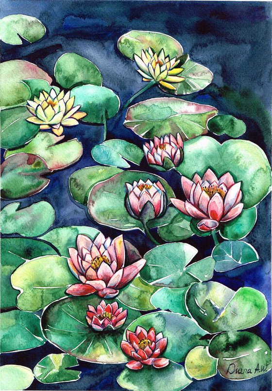 Waterlilies flower