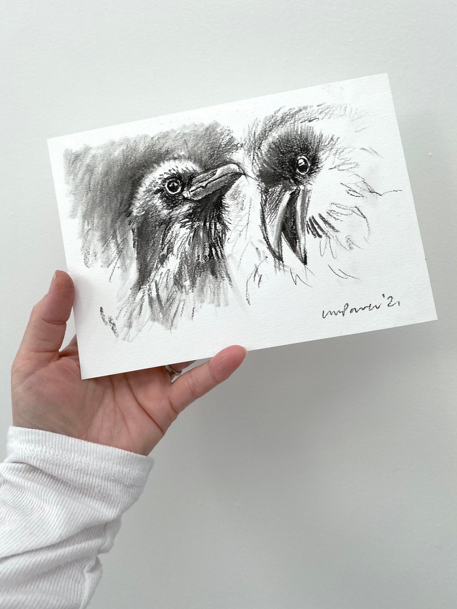 Raven #03 - charcoal drawing on matted paper - A5 148mm x 210mm by Luci Power