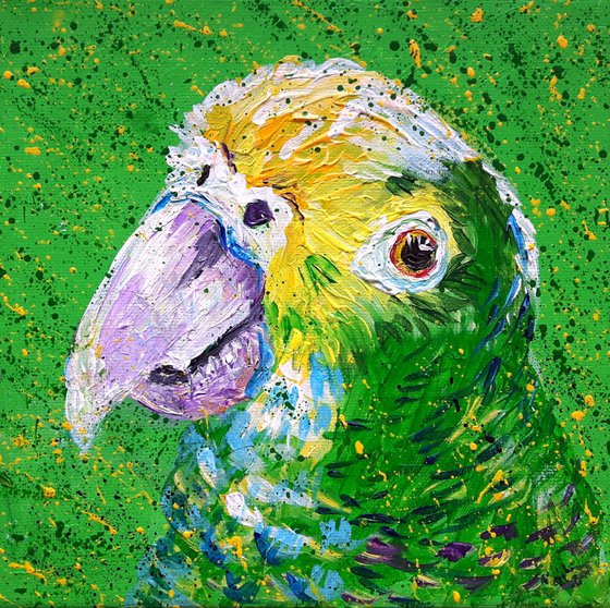 "Amazon parrot "