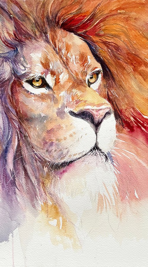 The Purple Mane_Lion by Arti Chauhan