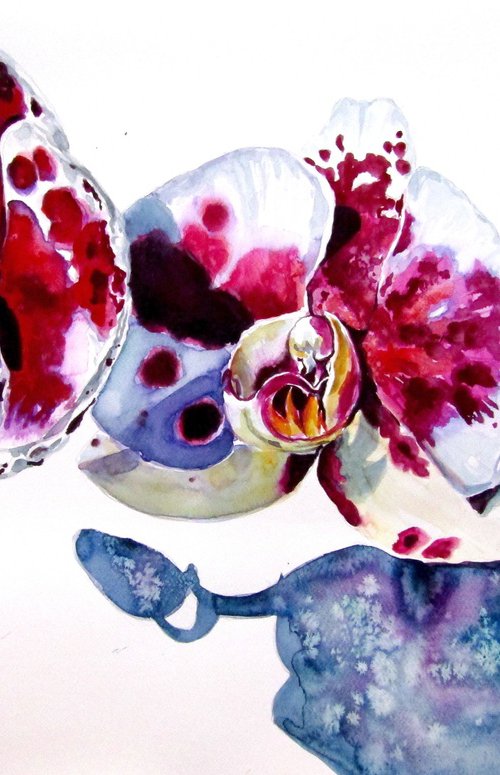 Orchid floral by Kovács Anna Brigitta