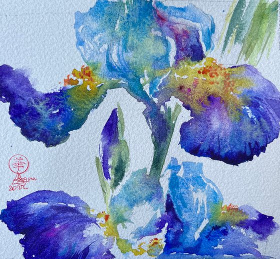 Irises #4