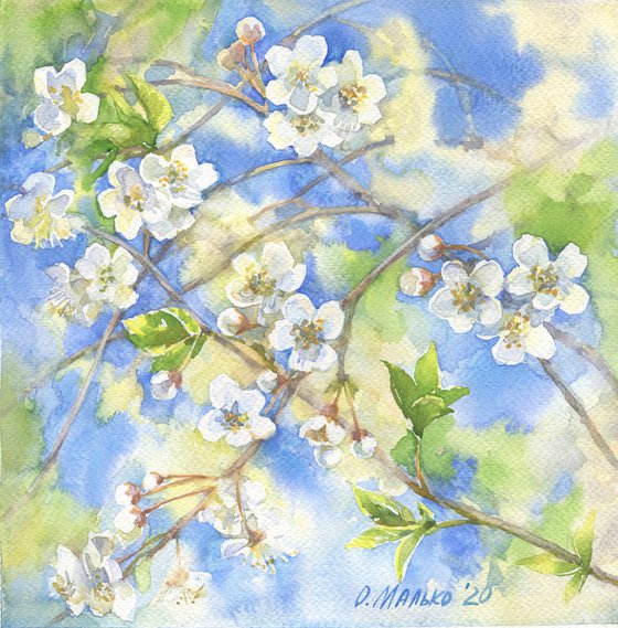 Blue sky through cherry blossom / Flowering branches. Spring watercolor