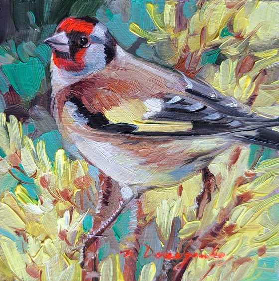 Goldfinch bird
