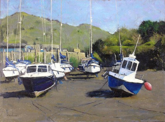 Ilfracombe boats