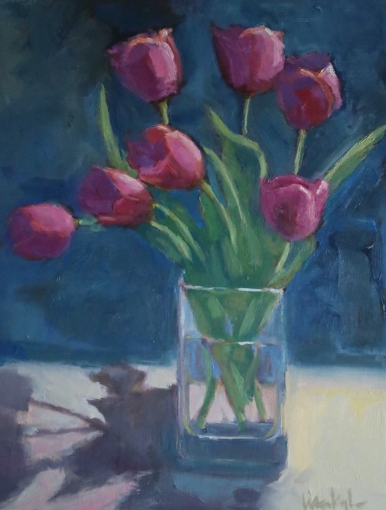 Tulips in Morning Light