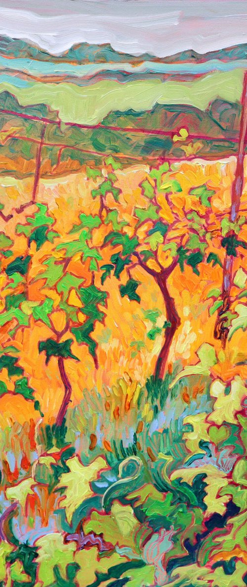 Rutland Vineyard #4, Golden by Mary Kemp