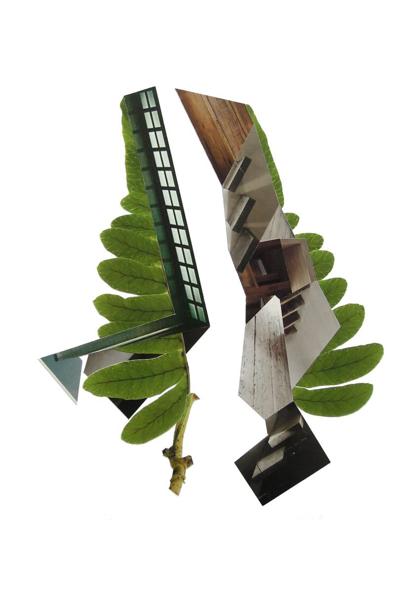 Botanical Collage By Benjamin West, 12 X 17, Leaf 5, Original Artwork