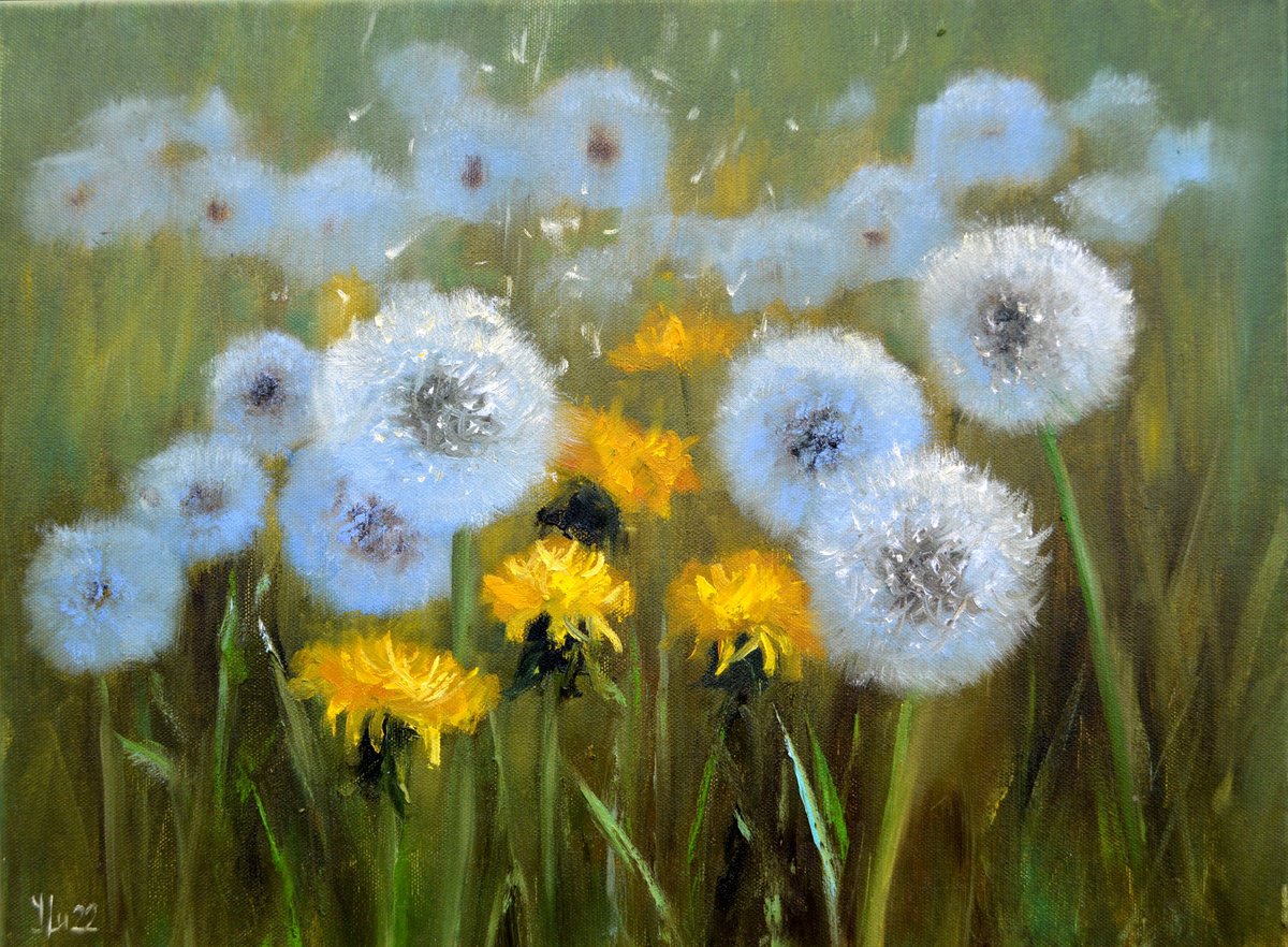 Impressionistic Botanical Oil Painting By Elena Lukina, 16 X 12, Delicate Dandelions, Original Artwork