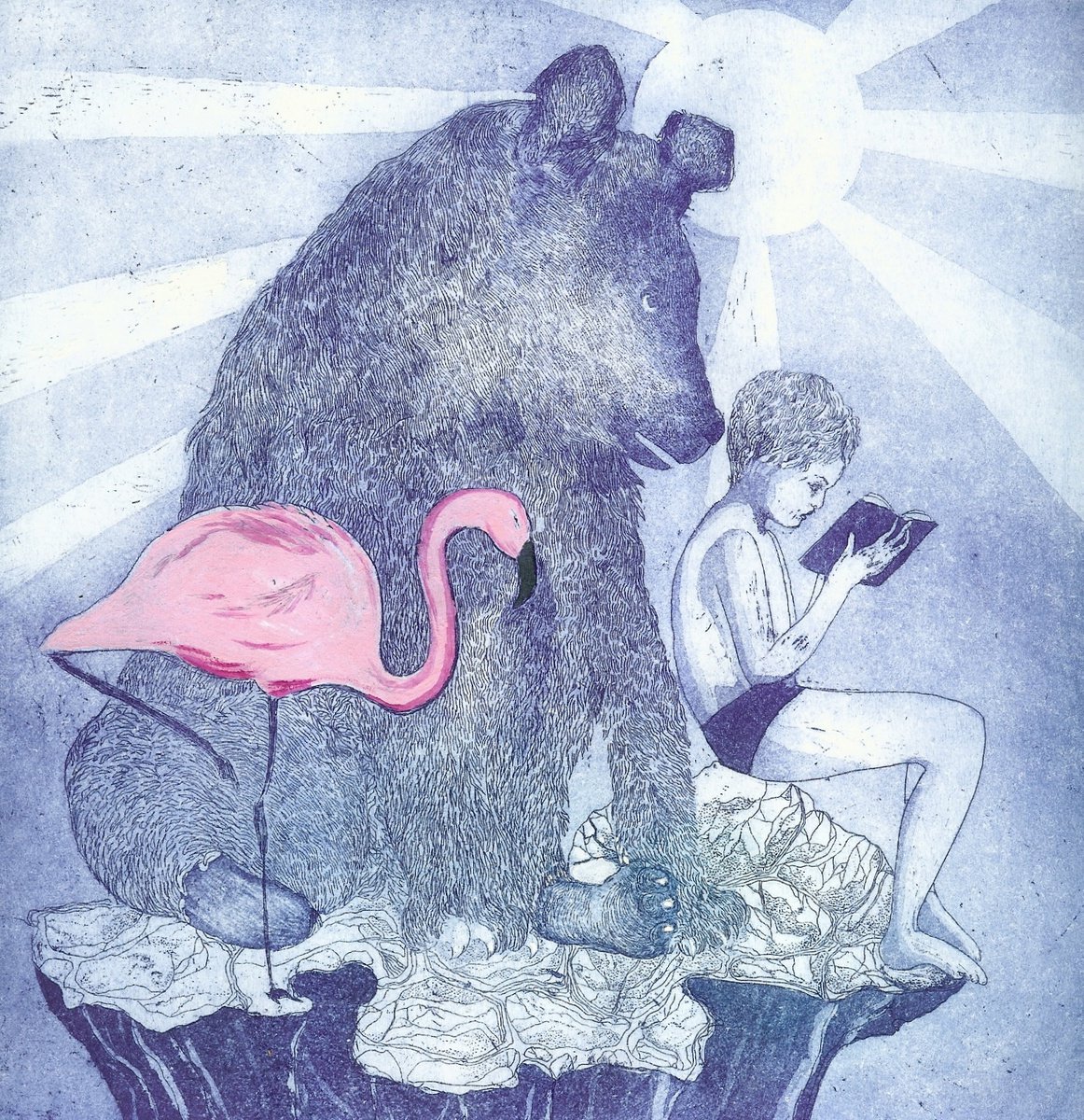 Illustrative Animal Etchings & Engravings By Jane Daniell, 9 X 9, Summer Holidays, Original Artwork