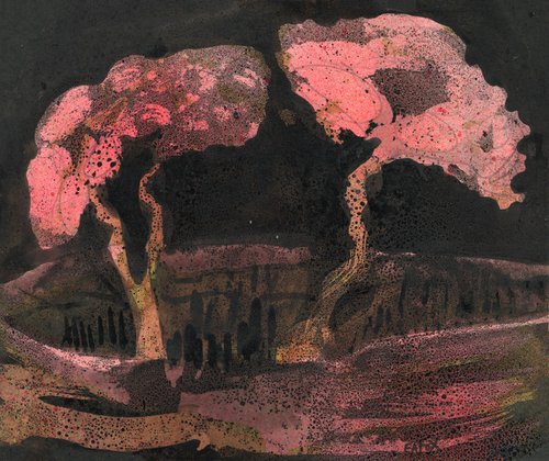 Hawthorn Blossom at Midnight by Elizabeth Anne Fox