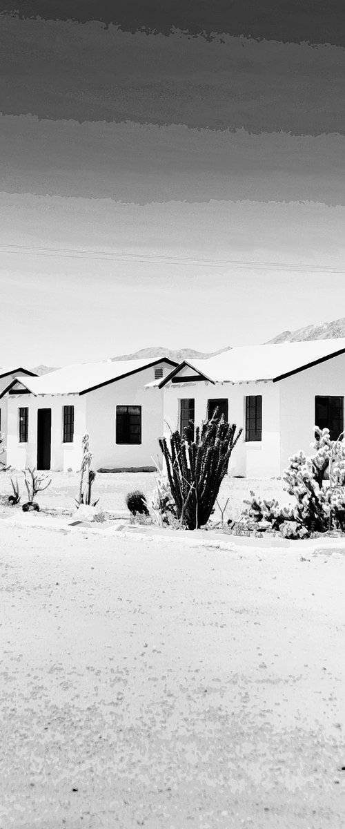 LITTLE WHITE COTTAGES Route 66 Amboy CA by William Dey