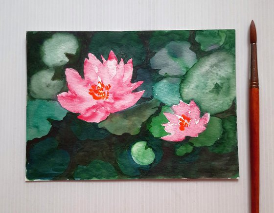 Water lilies SL 19 -  Lily pad