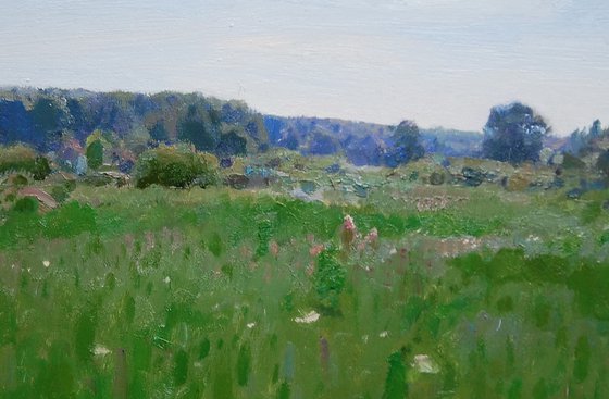 In the meadow