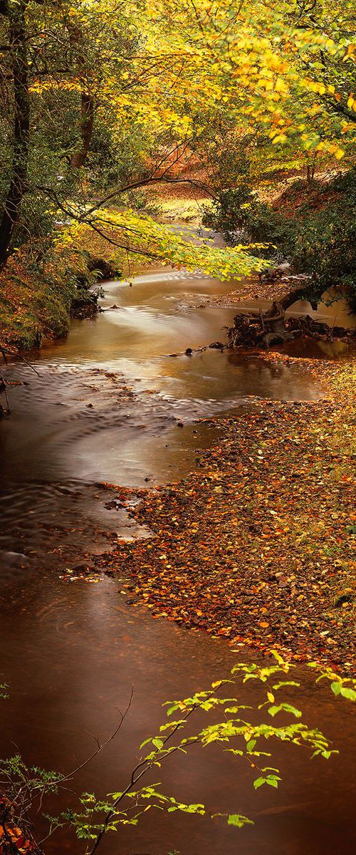 Autumn – Highland water by Baxter Bradford