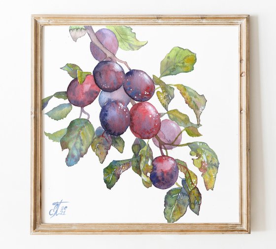 Watercolor Fruit Branches set