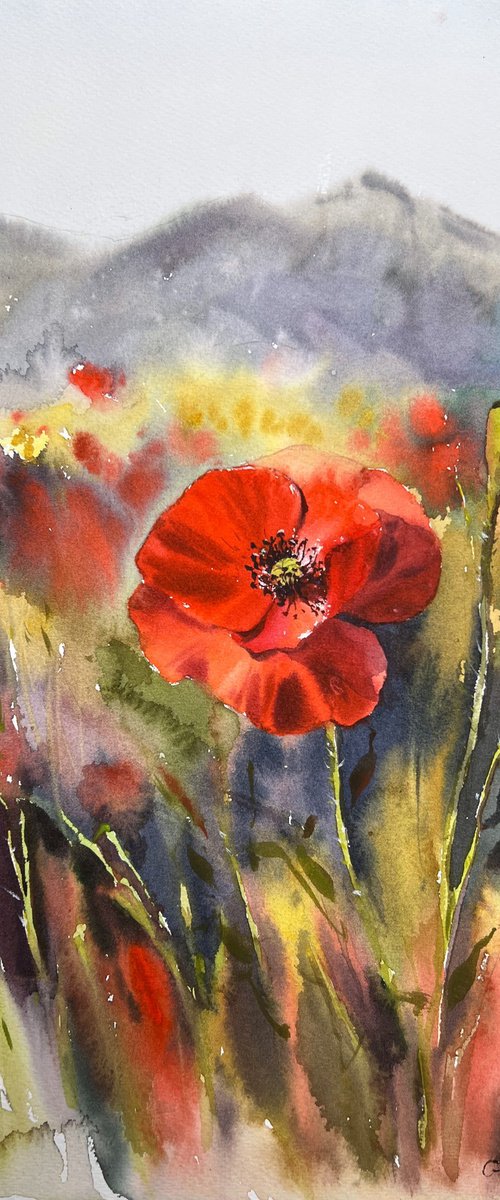 Poppy #2 by Eugenia Gorbacheva