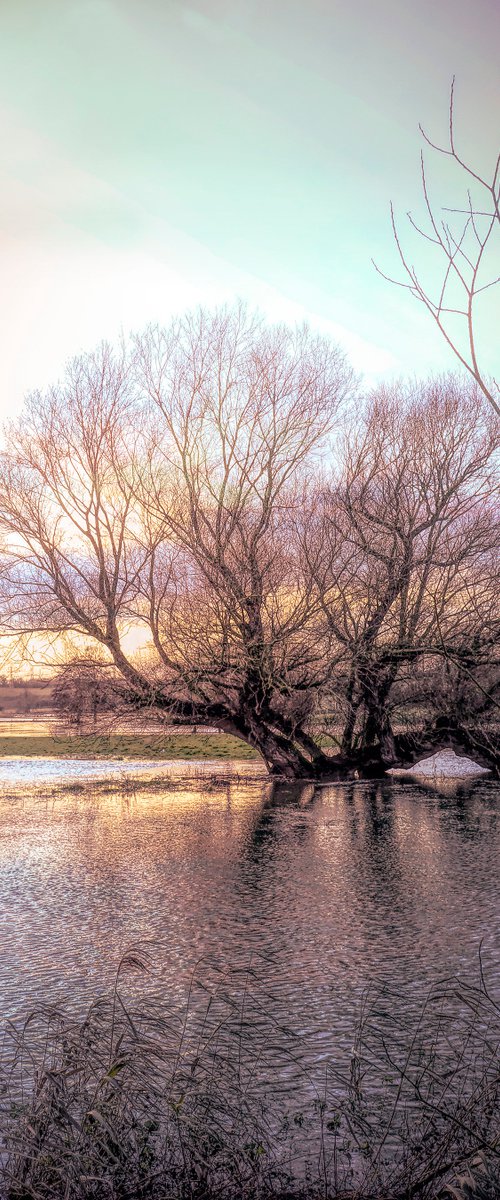 Flooded Field by Martin  Fry