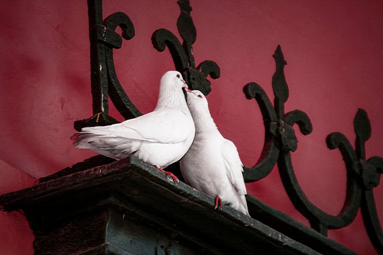 Two Doves, Andalusia