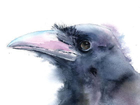 Crow Portrait