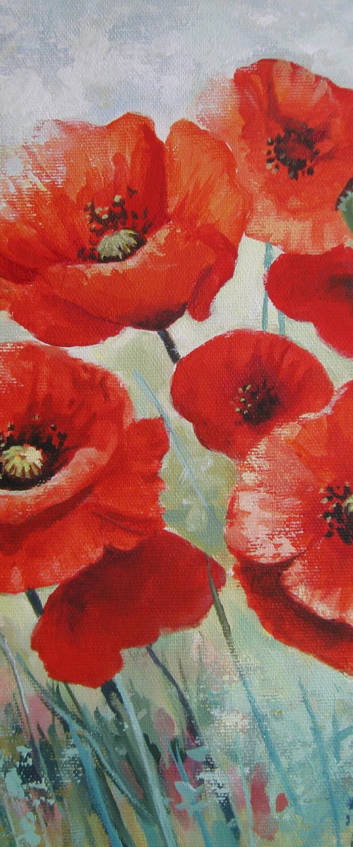 Poppies by Elena Oleniuc