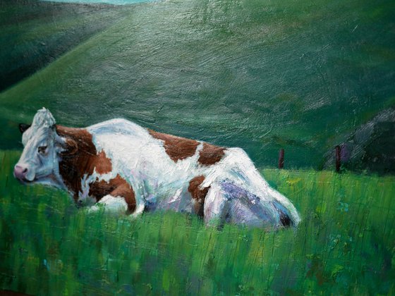 Pasture in Auvergne