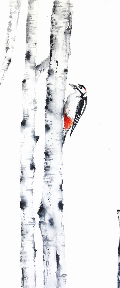 Great woodpecker with birch-trees, wildlife and animals by Karolina Kijak