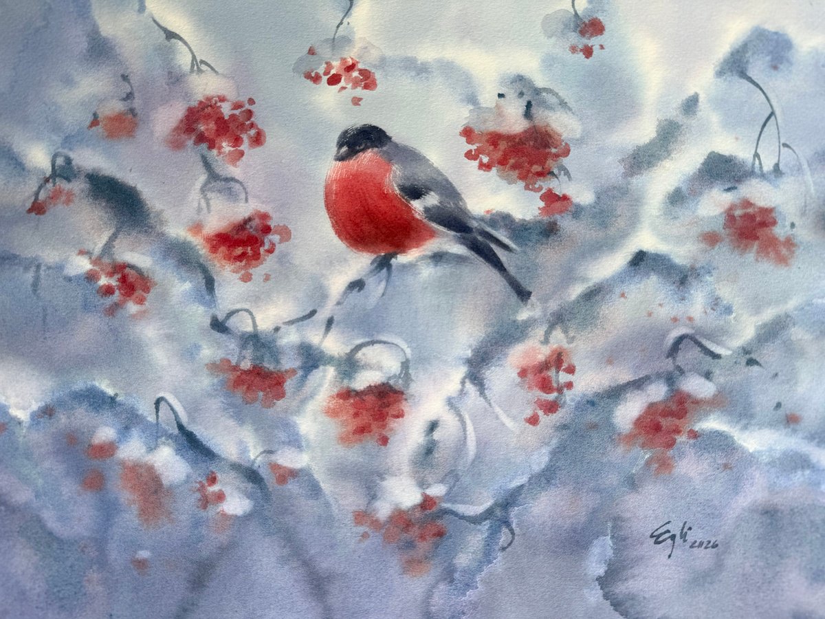 Photorealistic Watercolour , Snowbird By Egle Lipeikaite, 15 X 11, Artwork For Sale On Artfinder