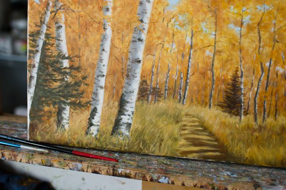 Autumn in Birch Forest