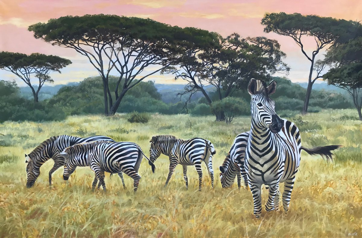 Original artwork description ZEBRAS - THE INCREDIBLE BEAUTY OF AFRICAN NATURE 120x80x2 c... by Evgeniya Roslik