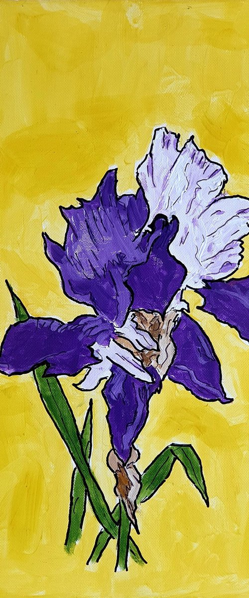 single iris II by Colin Ross Jack
