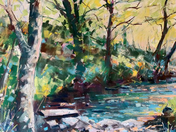 Morning Light on Woodland Stream