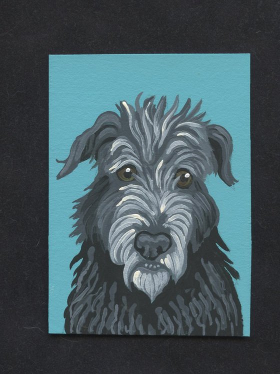 Irish Wolfhound