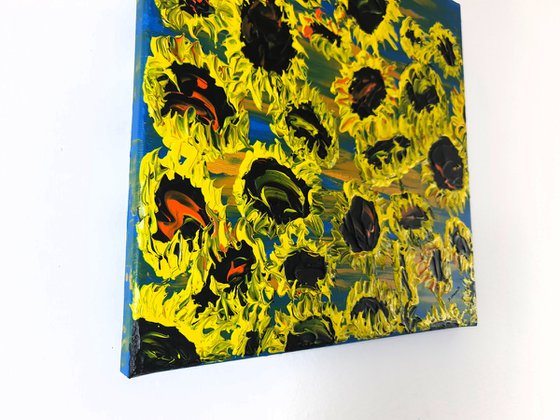 Blooming sunflowers 5