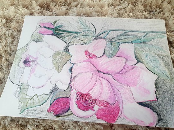 Floral Dance Drawing with Pencil and Watercolour Pencils A4 Size
