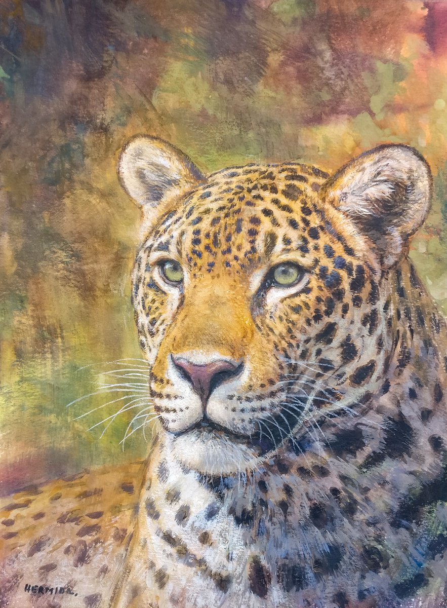 Jaguar by Gabriel Hermida