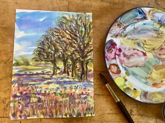Old oaks, bluebells, Wiltshire