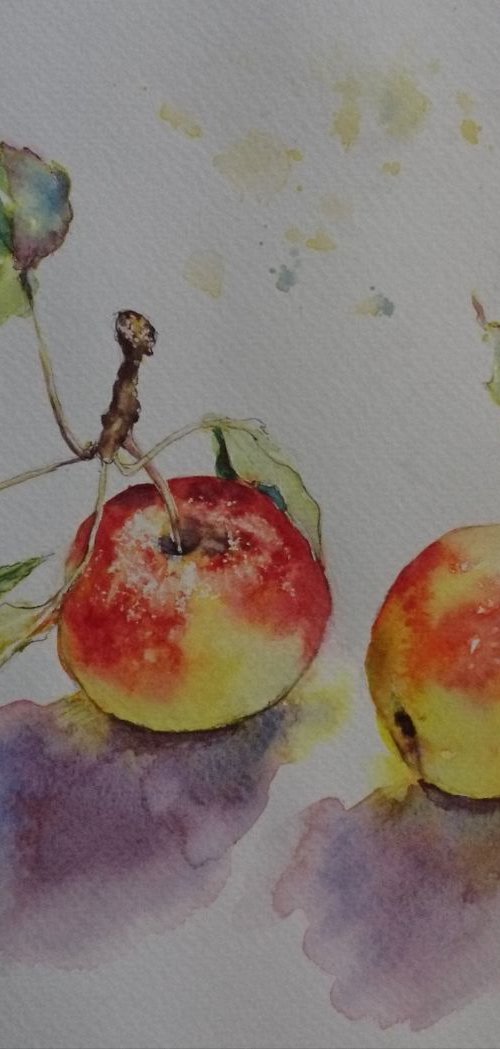 Two Autumn Apples - watercolor on paper by Michele Wallington