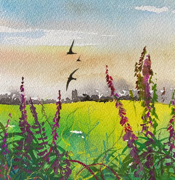 Dusk  Swallows over Rosebay Willowherb fields  Framed