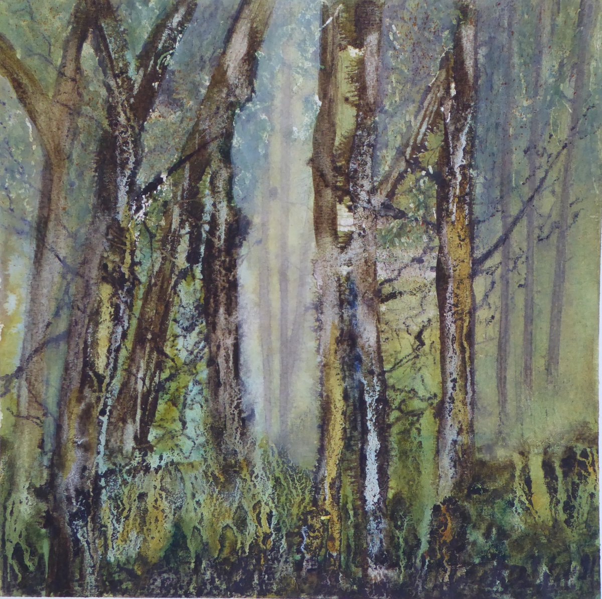 Twilight Woods by Sue Roe